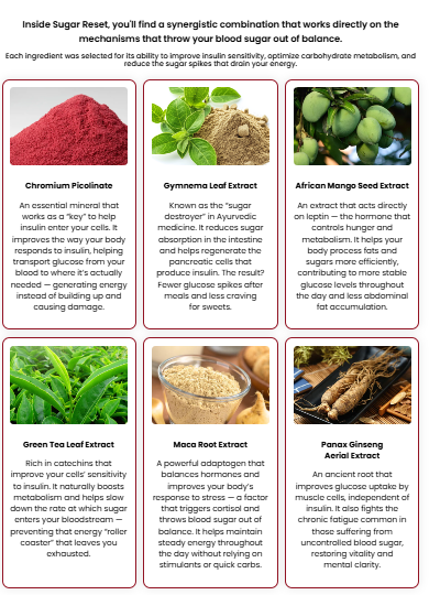 SugarReset ingredient cards: chromium picolinate, gymnema leaf, African mango seed, green tea leaf, maca root and Panax ginseng